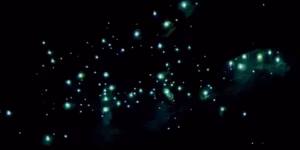 2025 年度總結 Good Goodbye.